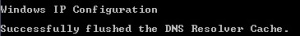 How to Flush DNS on Windows Vista
